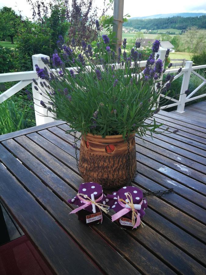 B&B Whitianga Vinelz Zewnętrze zdjęcie